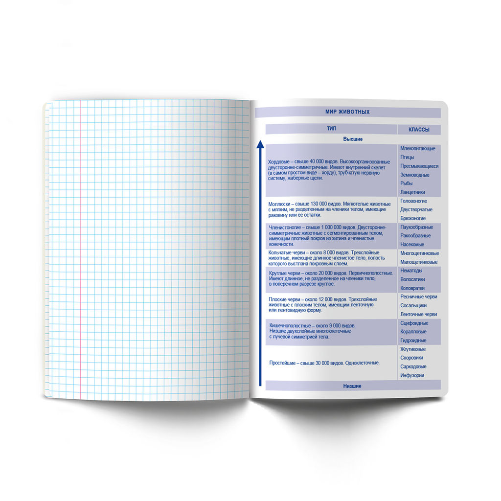 Светоч Т139 Тетрадь со справочным материалом Безупречный стиль, A5 48 л. на скобе 60 г/кв.м , белизна 90 % 10 шт. , клетка 01286 Безупречный стиль Биология  фото 5
