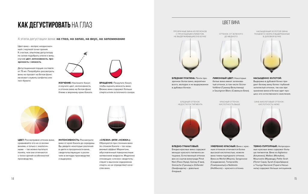 Вино. Практический путеводитель. Пакетт М., Хэммек Дж. - Колибри фото 8