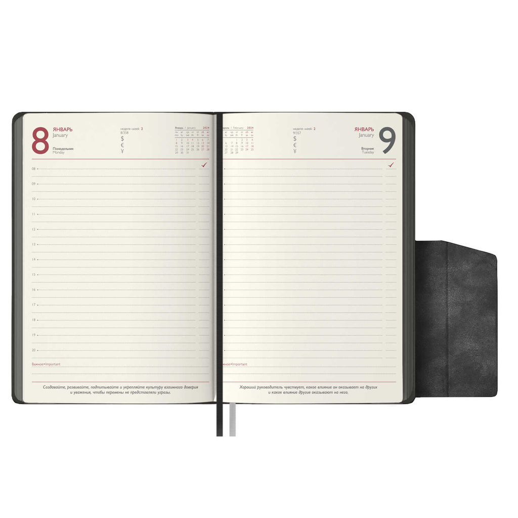 Ежедневник датированный 2024 ESCALADA, А5, 176 л., арт. 63764/ 15 ЧЕСТЕР ЧЁРНЫЙ  фото 2