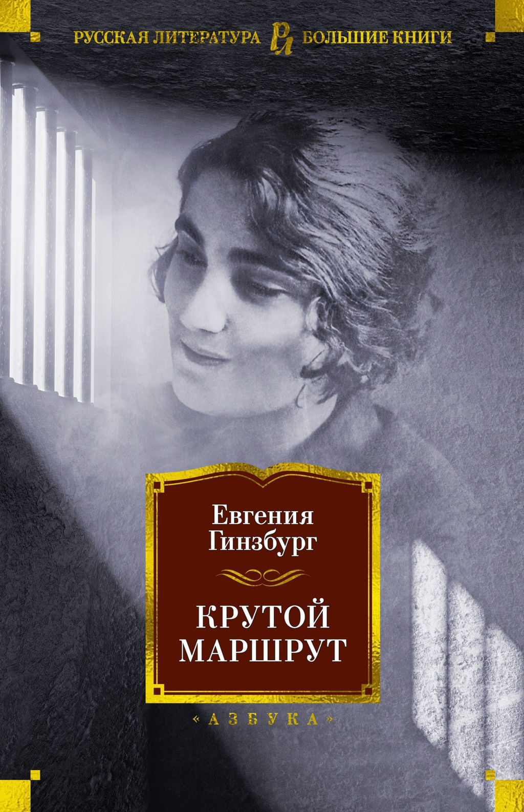 Крутой маршрут. Гинзбург Е. - Азбука фото 2