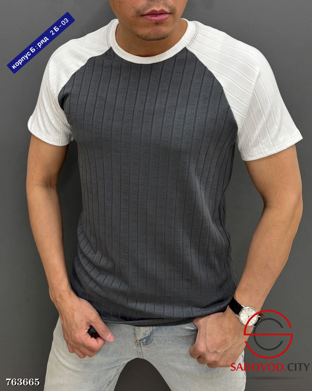 Мужская однотонная футболка