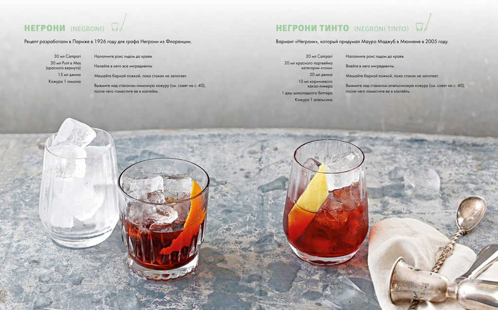 Практическая миксология. Девайсы. Техники. Ингредиенты. Кастеллон Ф. - Колибри фото 5