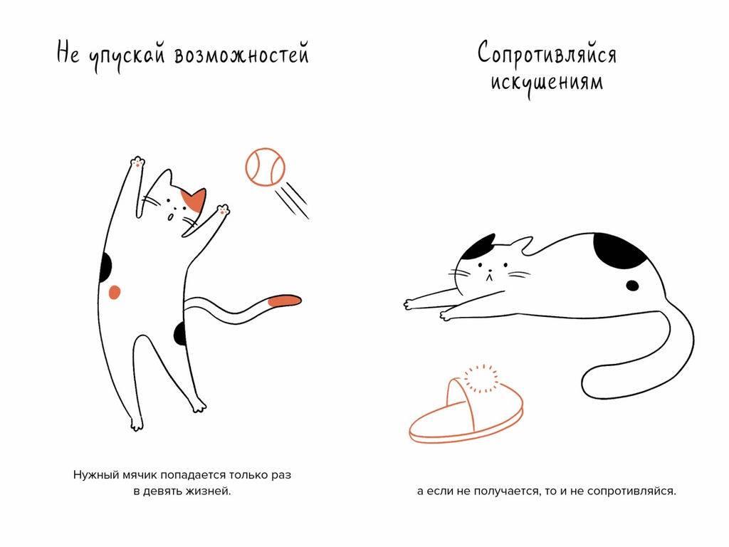 Кот всему голова. Кошачьи мудрости для жизни без стресса. Баваньоли Д.