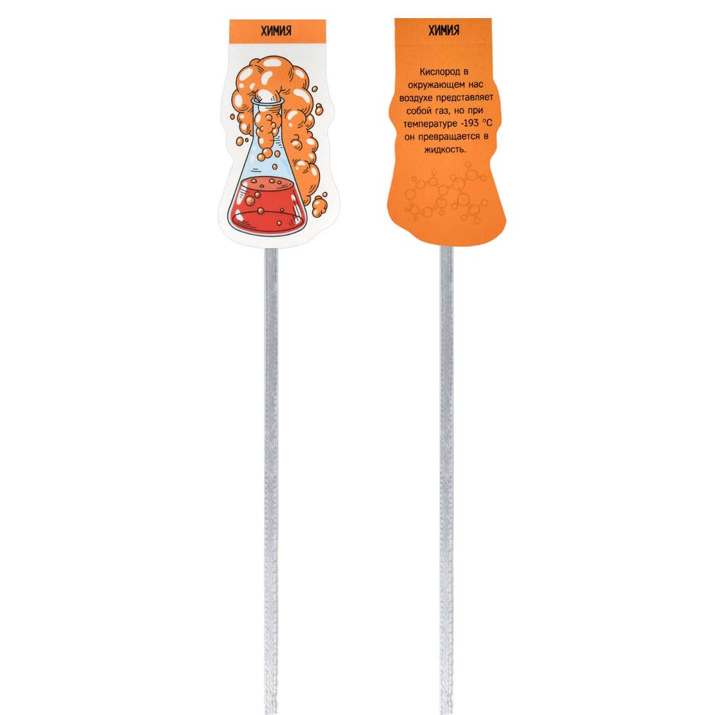 Набор закладок-ляссе магнитных для книг арт. 57360 / 150 ЕСТЕСТВЕННО-НАУЧНЫЕ ПРЕДМЕТЫ - Феникс+ фото 2