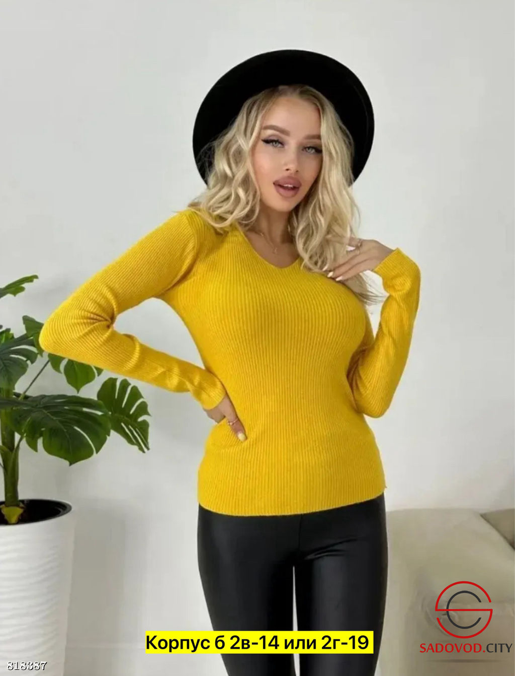 Водолазка женская с V-вырезом