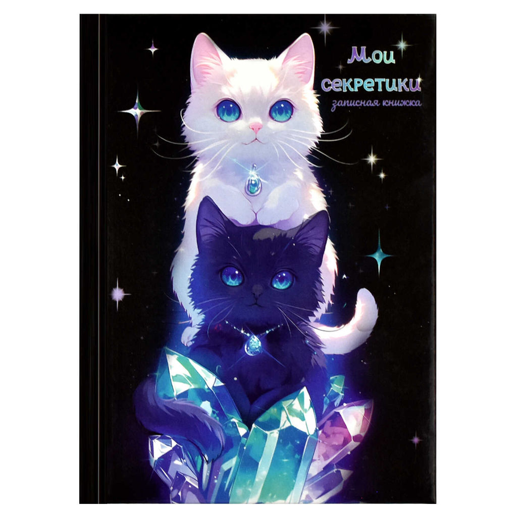 Записная книжка арт. 68998 ДВА КОТА
