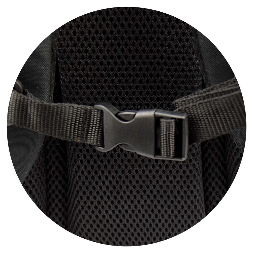 Рюкзак школьный Феникс+ арт.68245/ 10 ТРИ КОТА