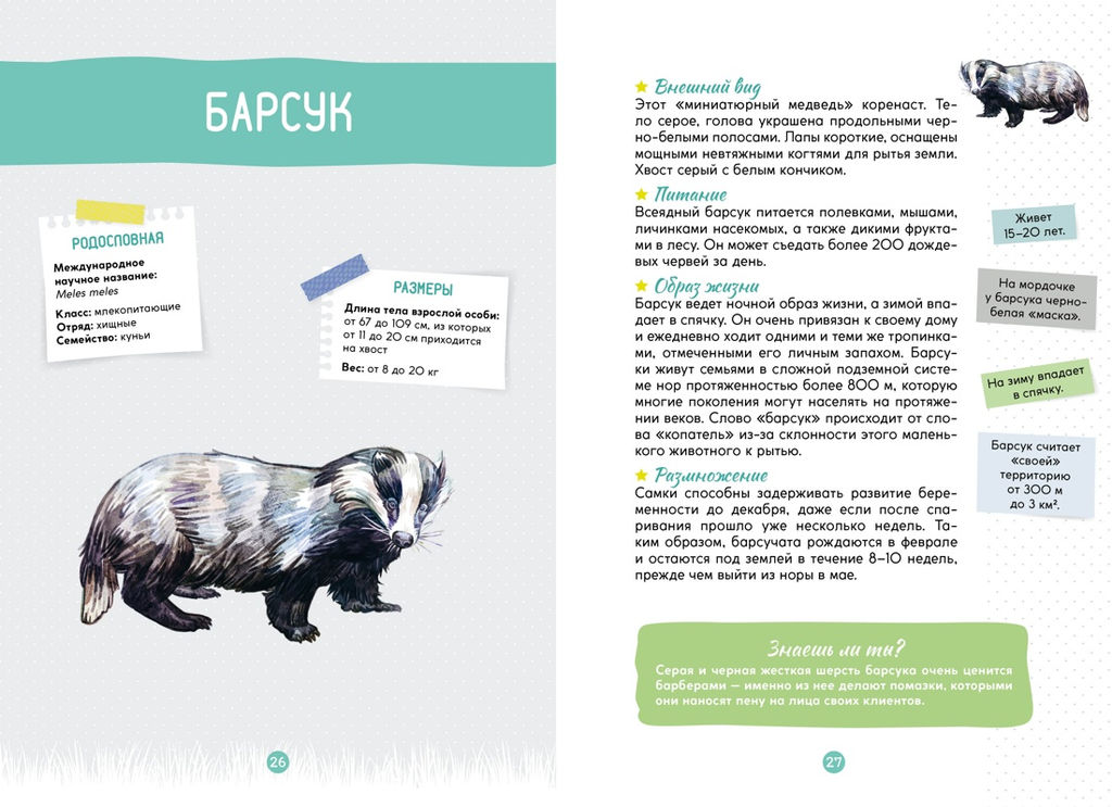 Лесные животные. Жапьо Ксавье - Махаон фото 5