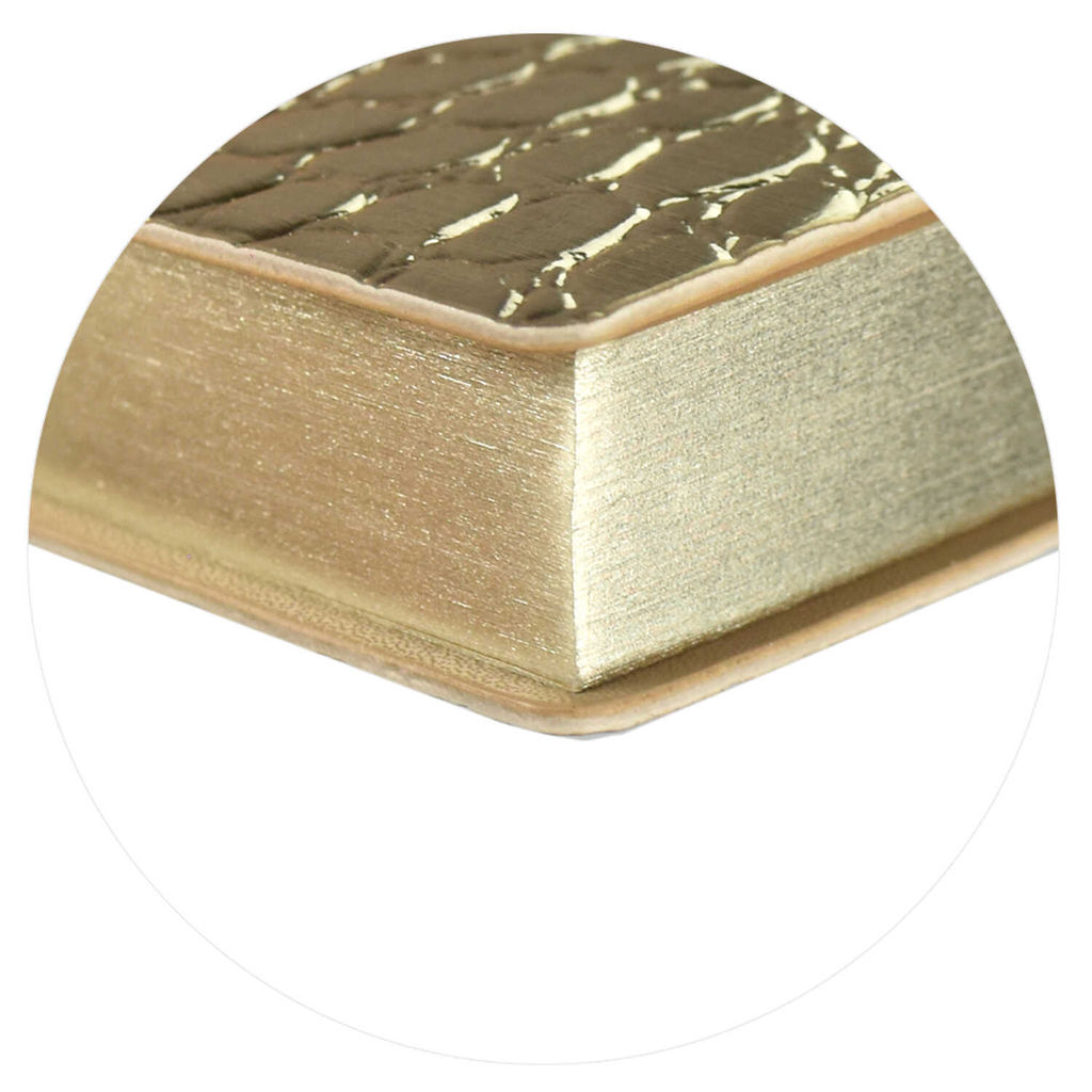 Ежедневник недатированный ESCALADA, А6+, 160 л., арт. 64220/ 20 КРОКО МЕТАЛЛИК ЗОЛОТОЙ  фото 9