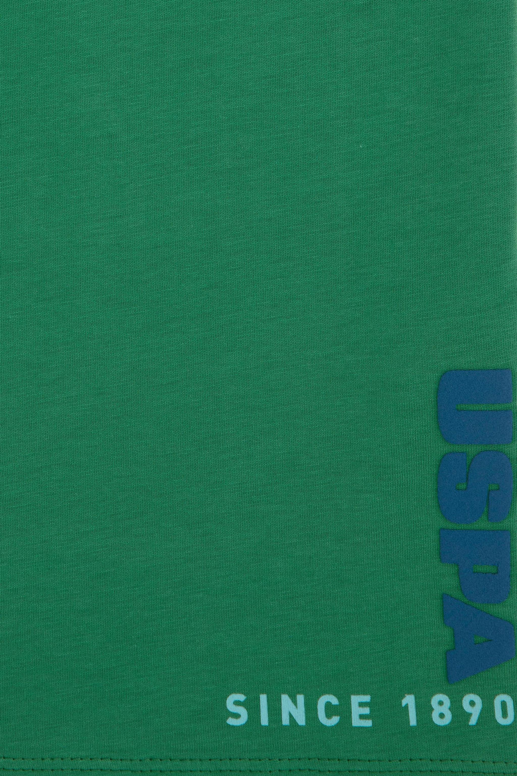 Erkek _ocuk Ye_il Bisiklet Yaka Ti__rt Sepette S_rpriz _ndirim - U.s. polo assn фото 3