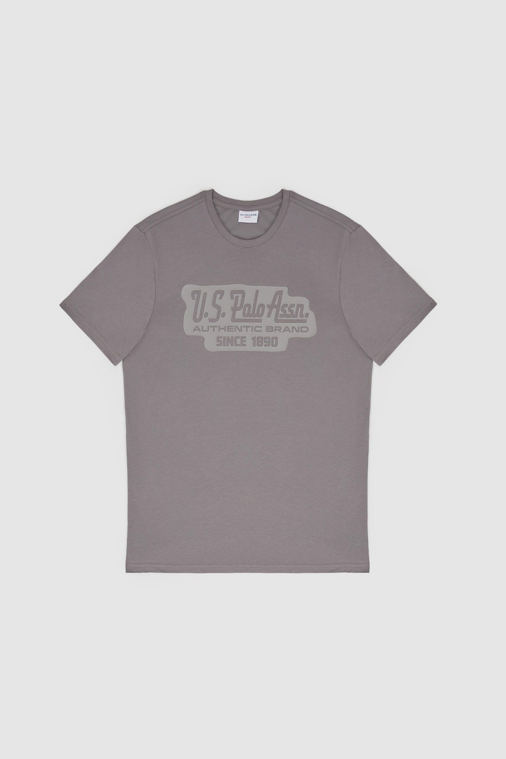 Erkek Regular Fit Bisiklet Yaka Gri Ti__rt
