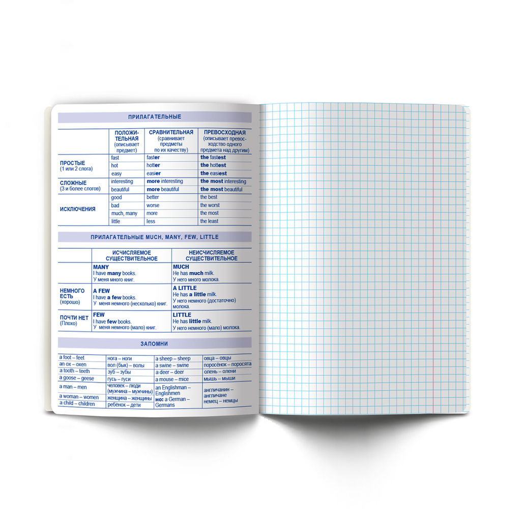 Светоч Т141 Тетрадь со справочным материалом На задней парте, выбор.лак, A5 48 л. на скобе 65 г/кв.м , белизна 100 % 10 шт. , клетка 01299 На задней парте Английский язык фото 5