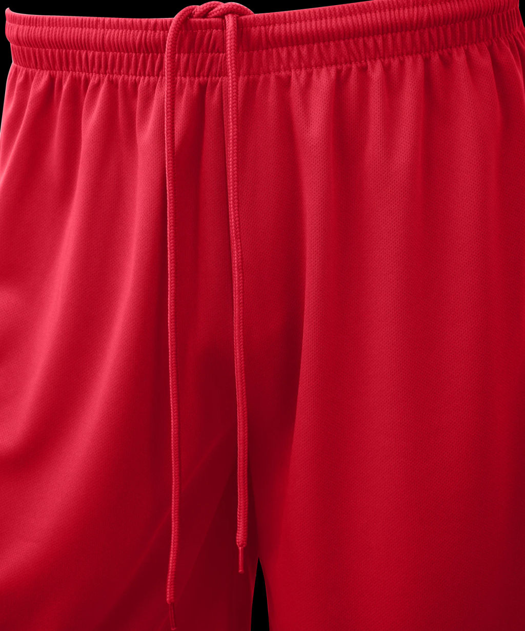 Шорты баскетбольные JOGEL CAMP Basic, красный  фото 4