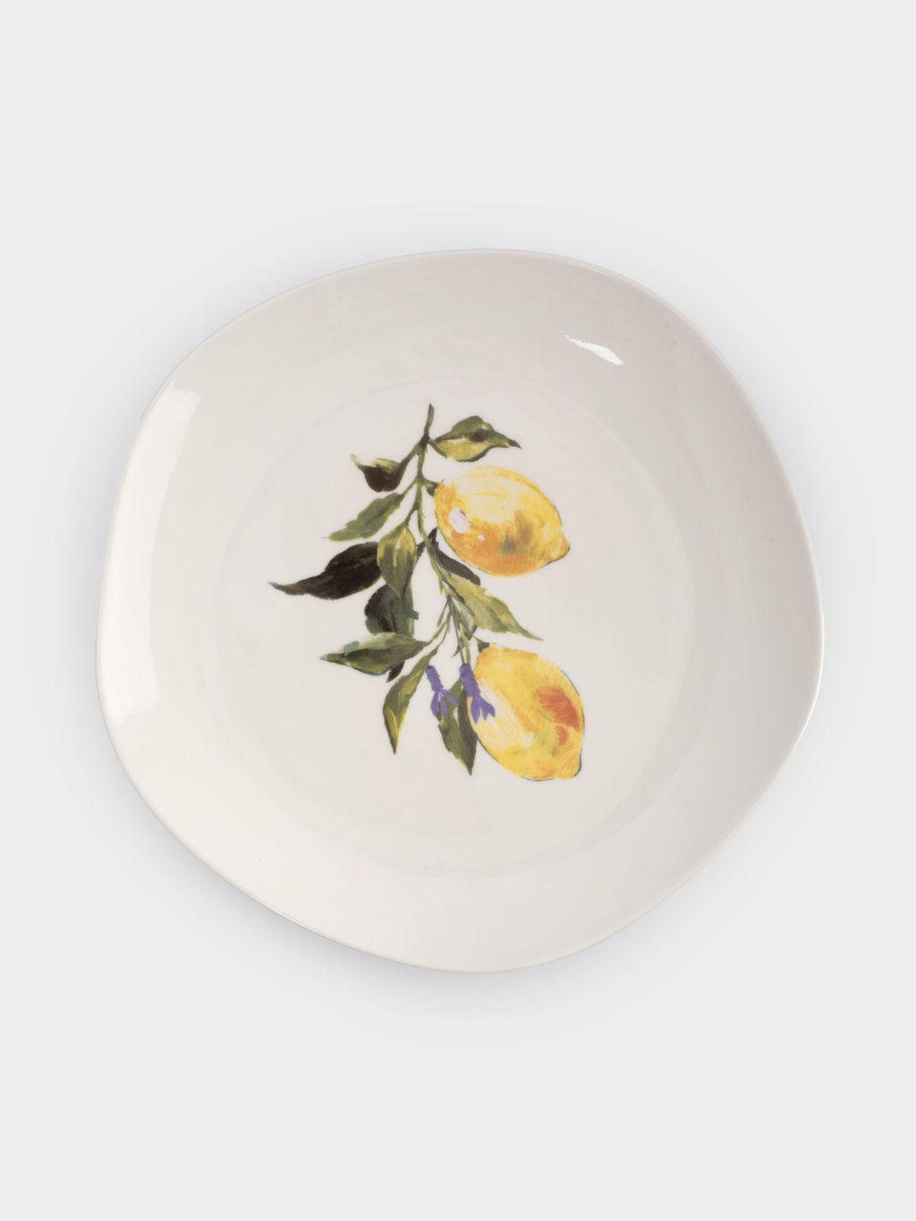 Тарелка обеденная, 26 см, фарфор P, белая, Лимоны, Lemon branch - Anna lafarg фото 2