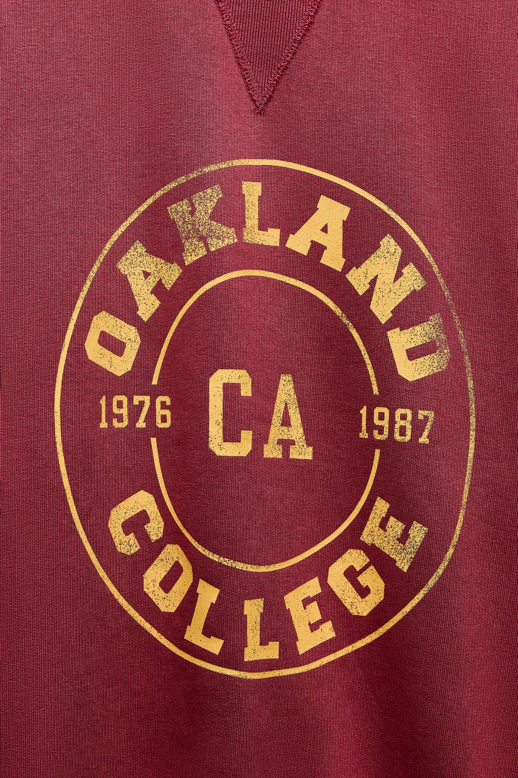 FADED VARSITY SWEATSHIRT - Zara фото 6