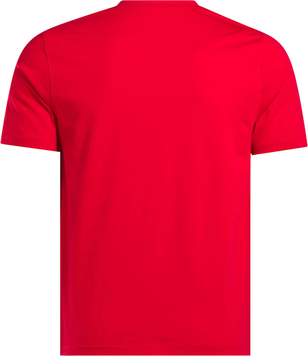 Футболка мужская