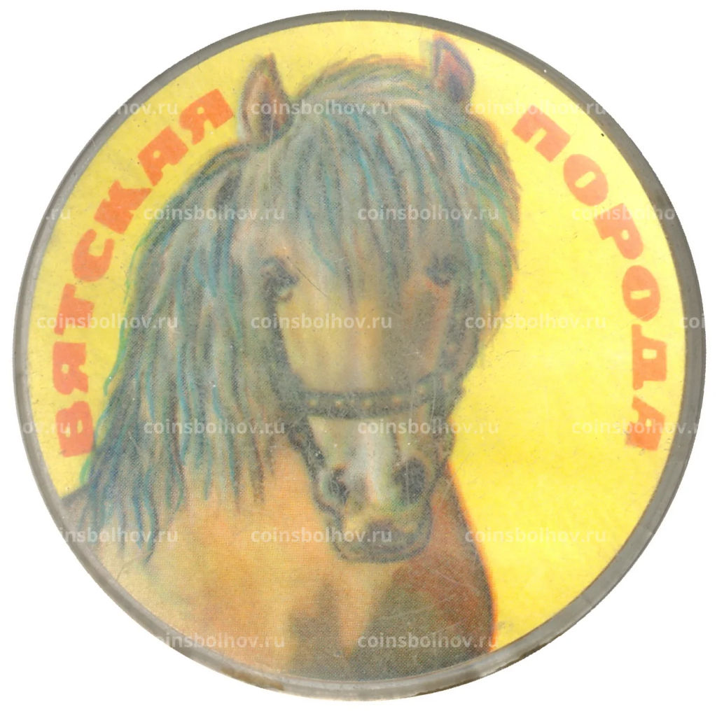 Значок Лошадь породы Вятская