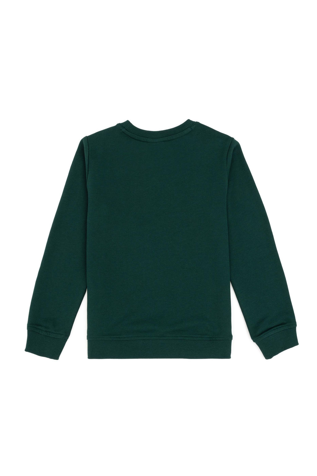 Темно-зеленый базовый свитшот для мальчика - U.s. polo assn фото 5