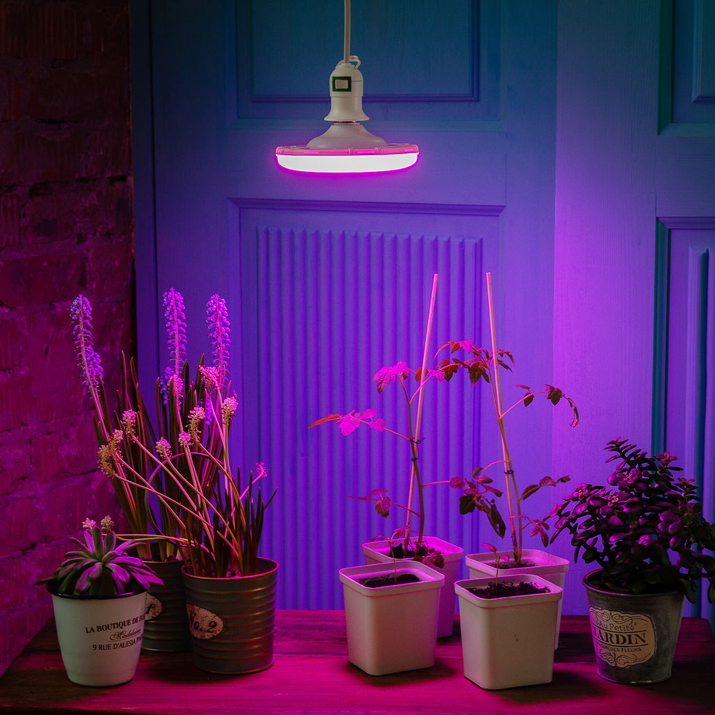 LED-U150-16W/SPSB/E27/FR PLP30WH Лампа светодиодная для растений. Форма UFO, матовая. Спектр для рассады и цветения. Картон. ТМ Uniel