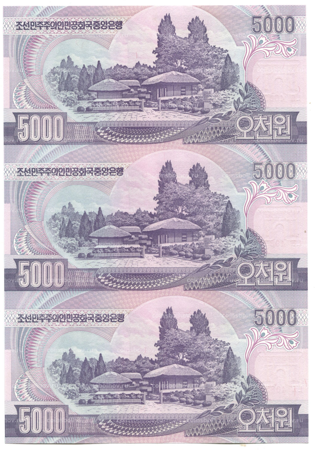 Банкнота 5000 вон 2006 года Северная Корея Лист из трех банкнот