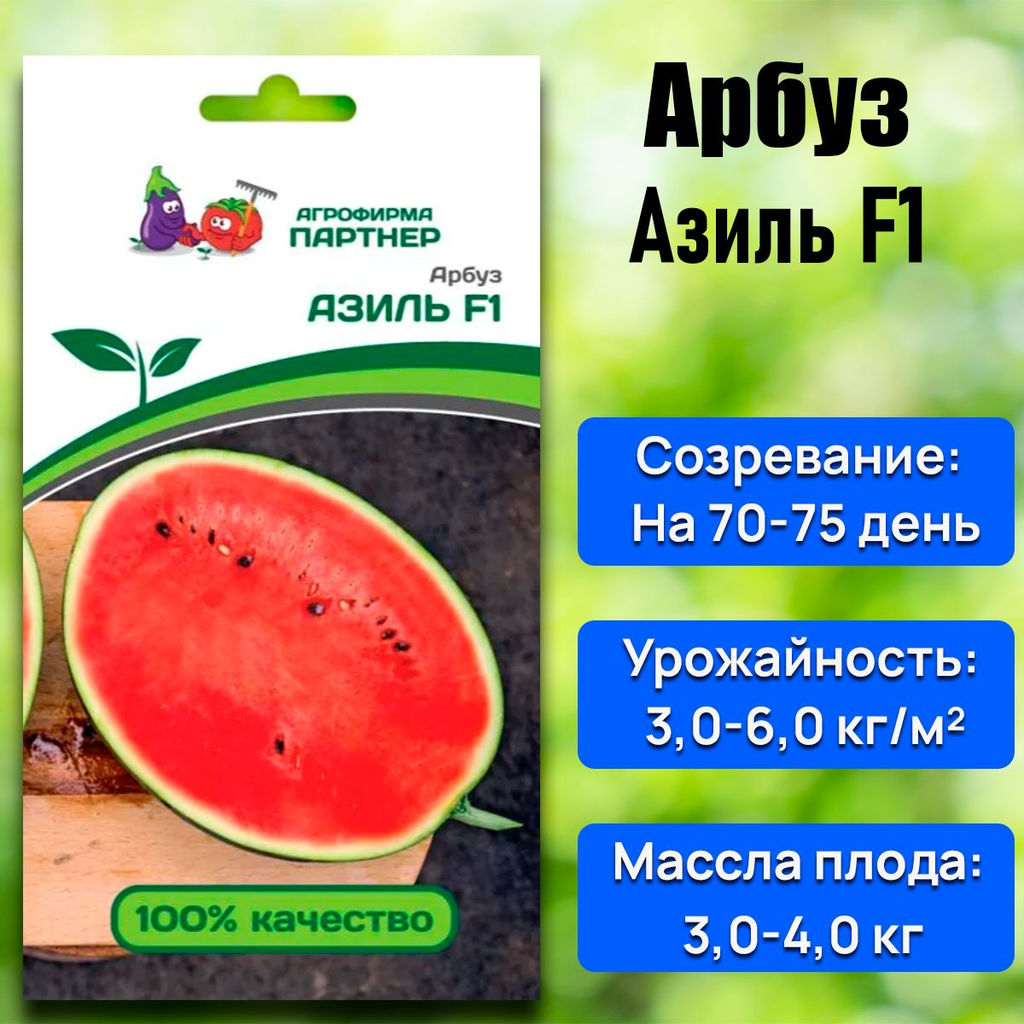 Арбуз Азиль - Партнер фото 6