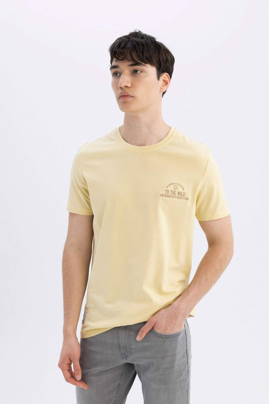 Slim Fit Dar Kesim Bisiklet Yaka Bask?l? K?sa Kollu Tisort - Defacto фото 2