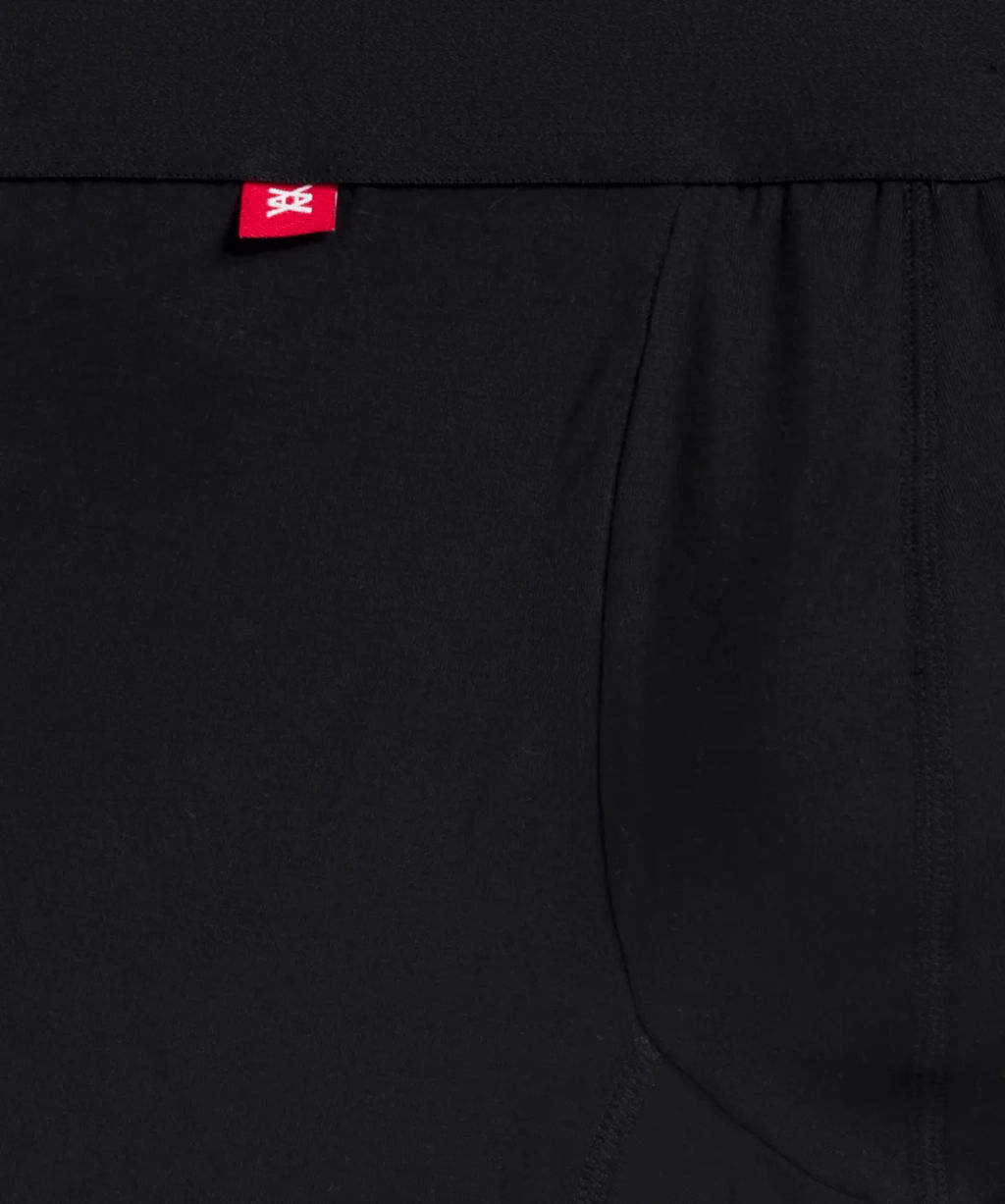 ATLANTIC MH-1181 Трусы шорты Long Performance черный фото 4