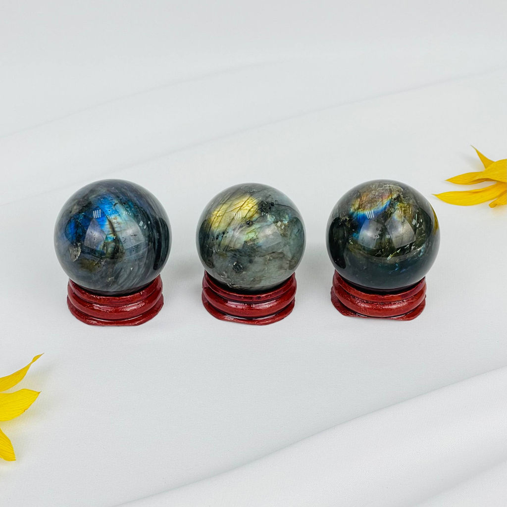 Шар из Лабрадора на подставке