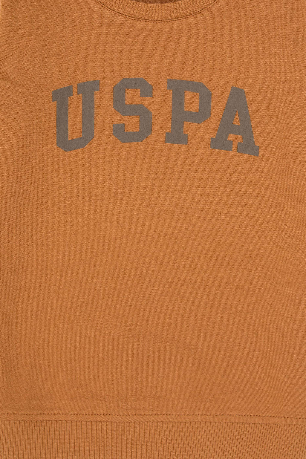 Erkek _ocuk Camel Basic Bisiklet Yaka Sweatshirt Sepette S_rpriz _ndirim - U.s. polo assn фото 3