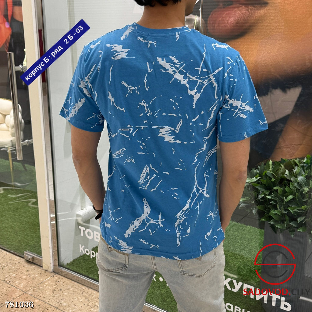 Мужская футболка с принтом
