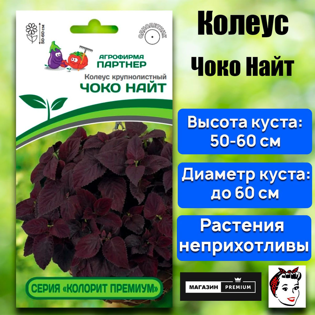 3314P Колеус "КОЛОРИТ ПРЕМИУМ" ЧОКО НАЙТ 5шт