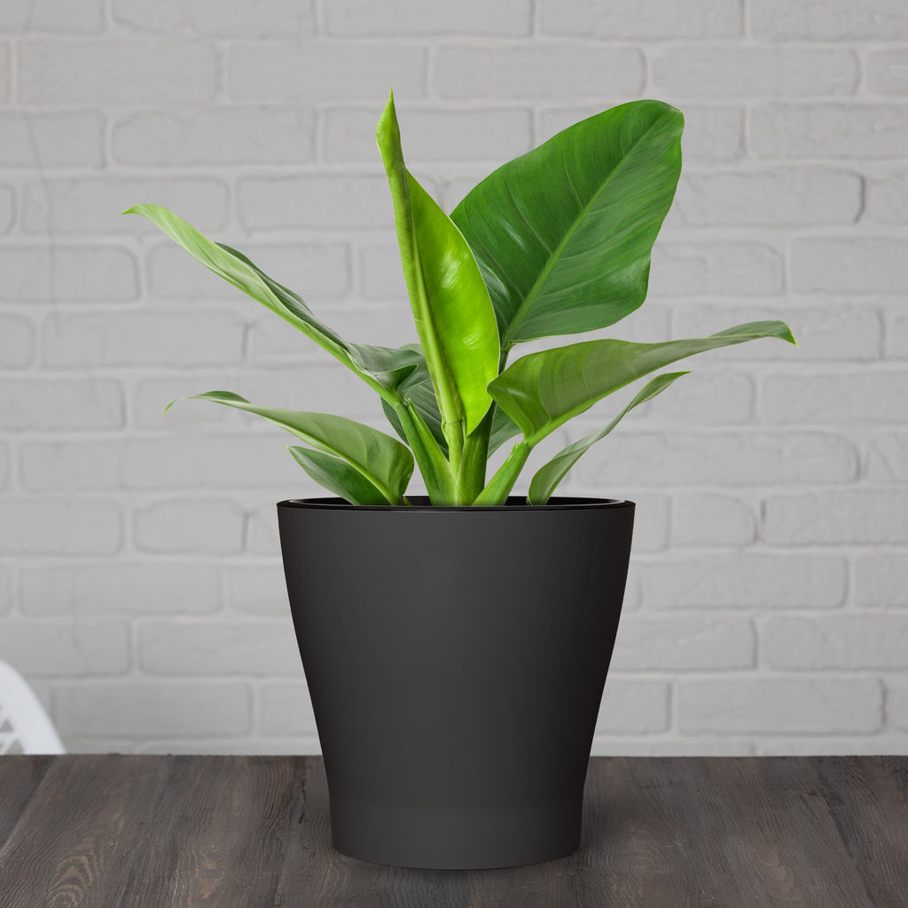 Горшок цв. "Лея" 5л двойной (графитовый) М8834