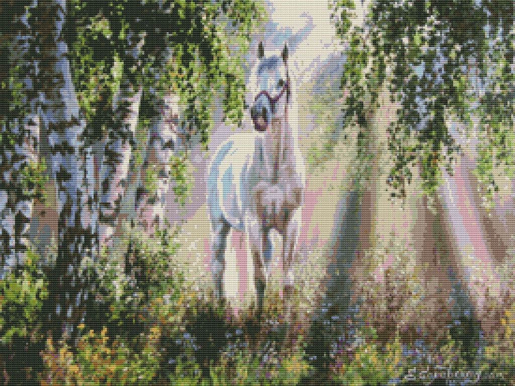 Вышивка крестиком 40х50см, Белая лошадь