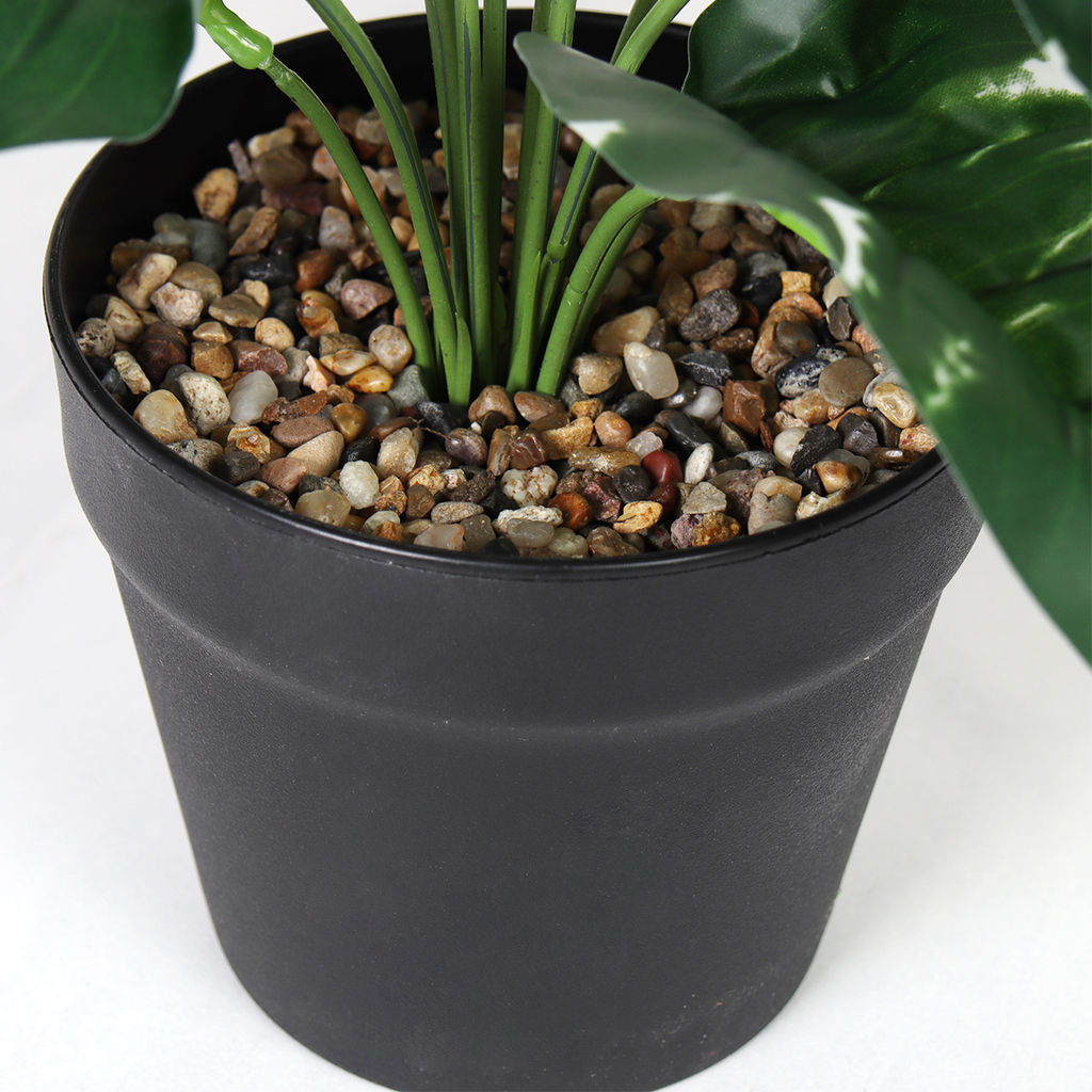 Цветочная композиция Сциндапсус 40 см / ZH-009 /уп 48/ - Галеонтрейд фото 8