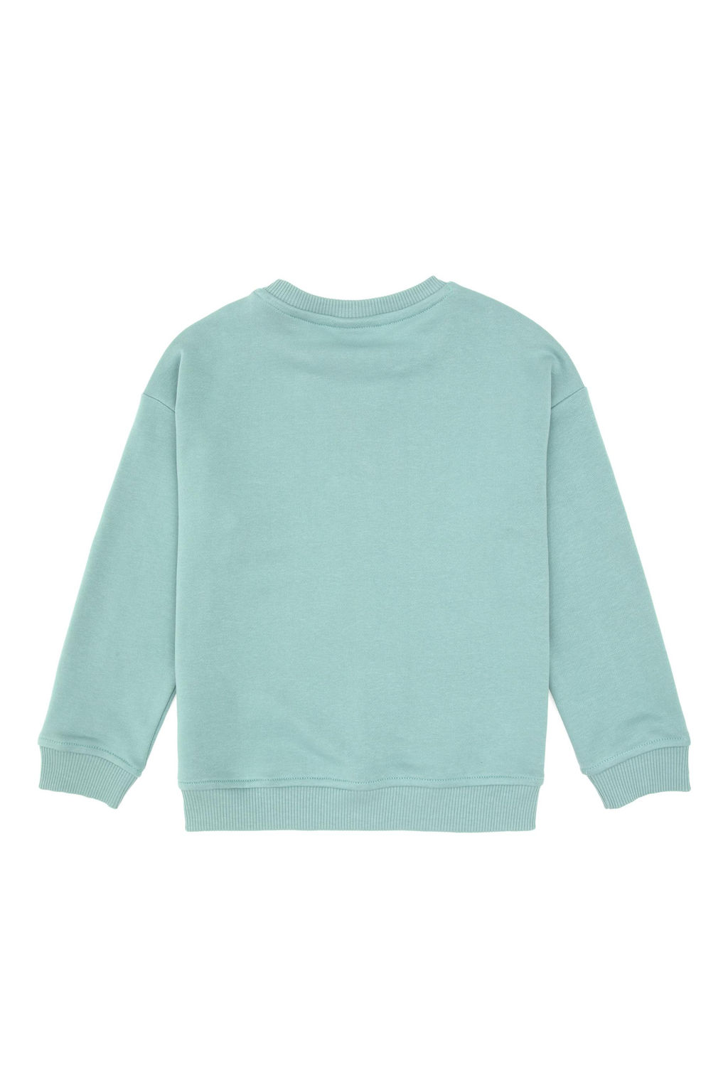 Erkek _ocuk Mint Bisiklet Yaka Basic Sweatshirt - U.s. polo assn фото 2