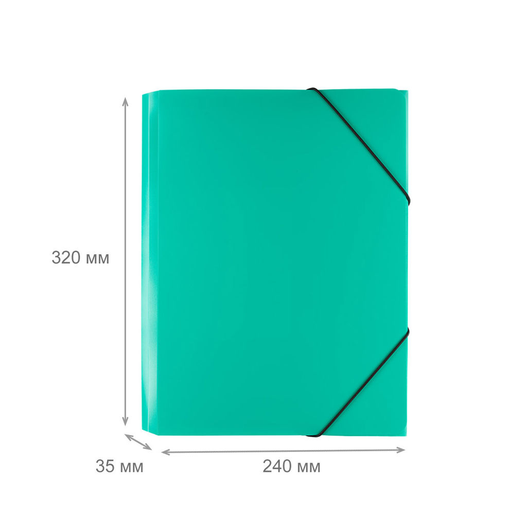 Expert Complete Classic Папка на резинке A4 500 мкм 35 мм песок 5 шт. зеленый ЕС2344453