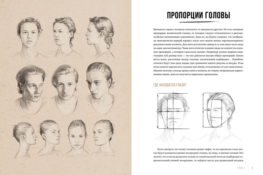 Рисунок карандашом от А до Я. Портрет карандашом. Шимшилашвили А. - Колибри фото 5