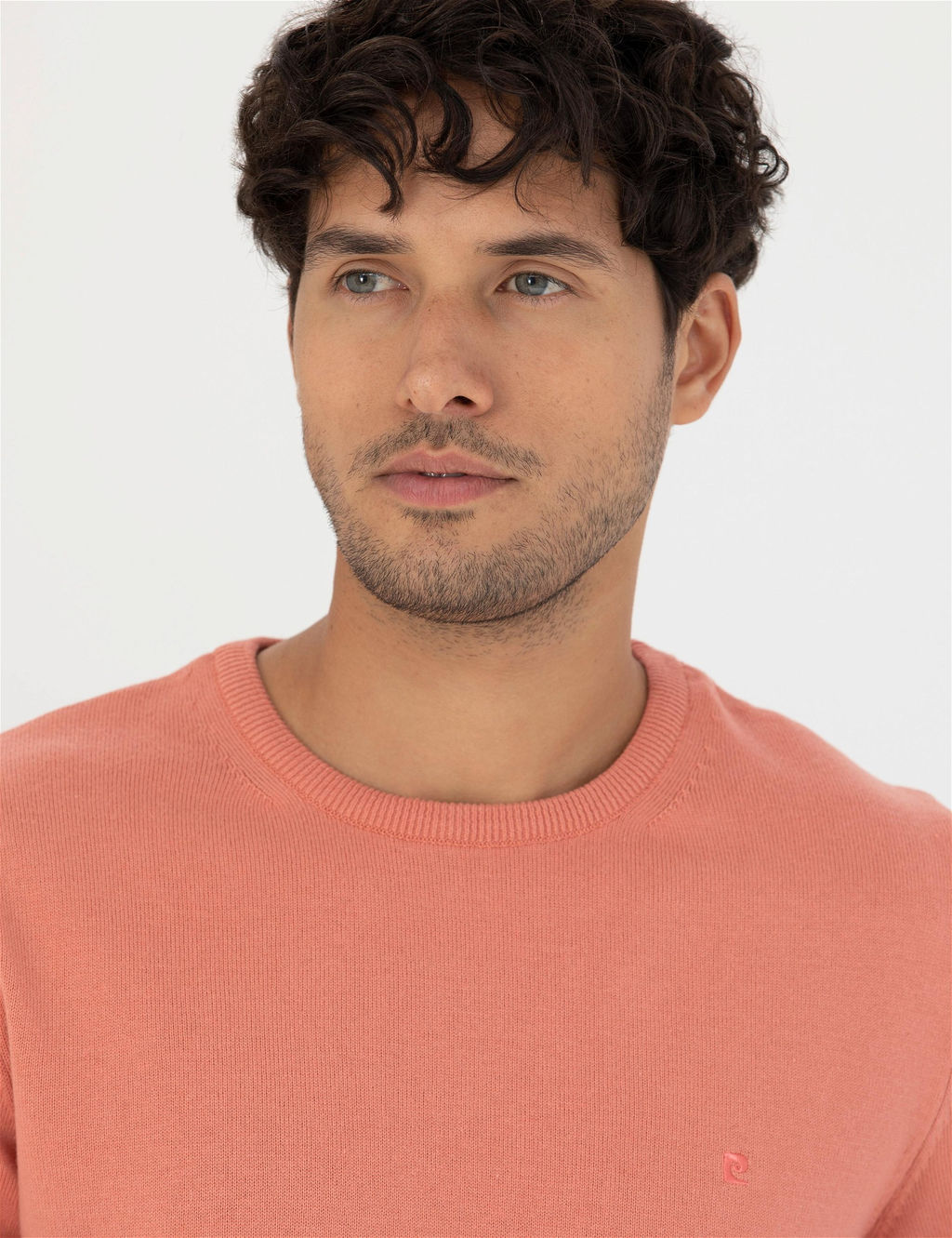Somon Slim Fit Bisiklet Yaka Basic Triko Kazak - Pierre cardin фото 2