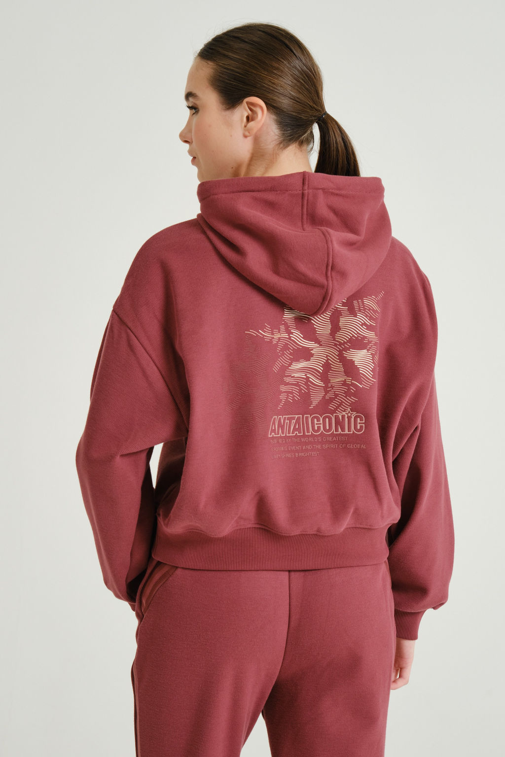 Худи утепленное Красный ICONIC Sweat Hoodie