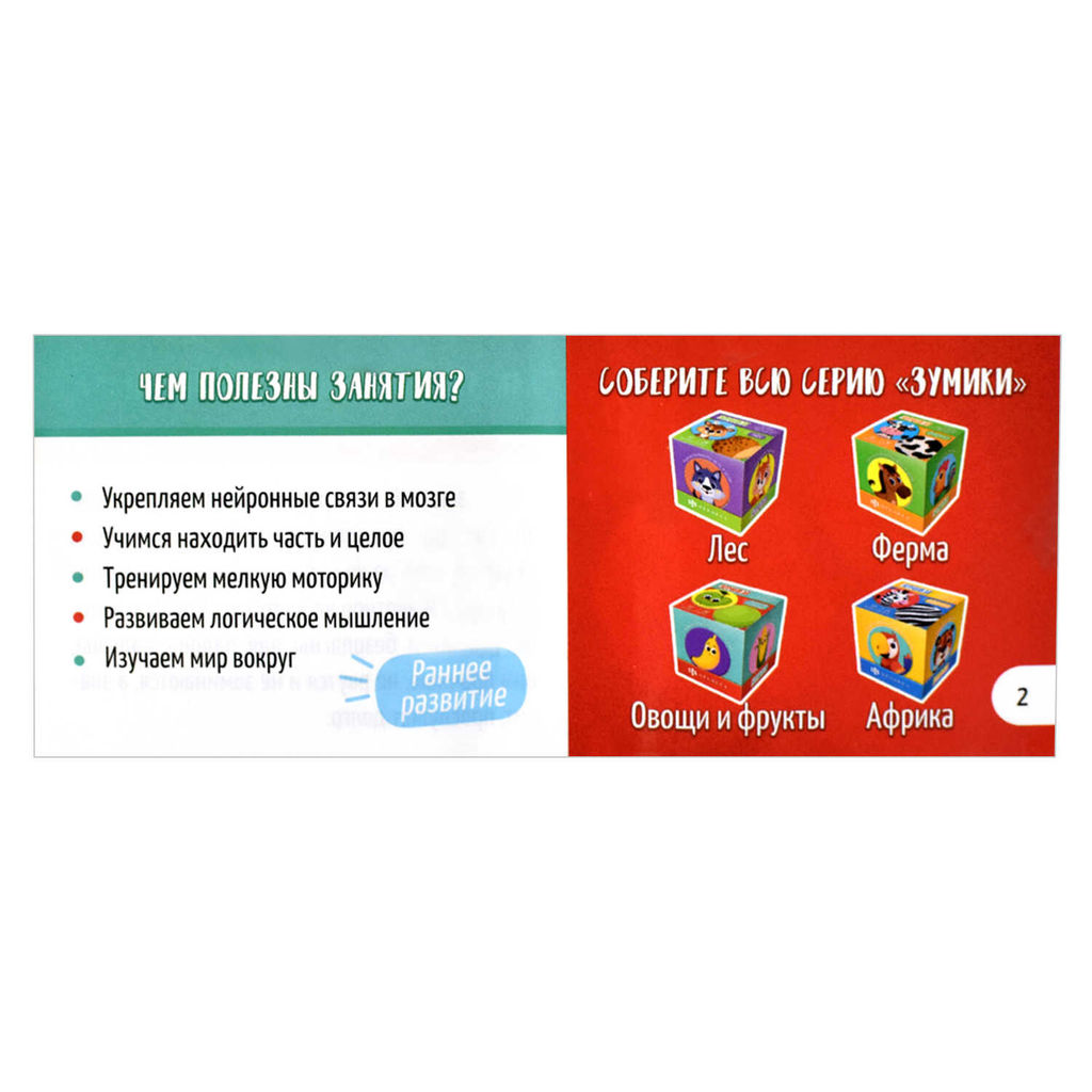 Карточки с картинками для детей. Серия Зумики арт. 58471 ФРУКТЫ И ОВОЩИ - Феникс+ фото 6