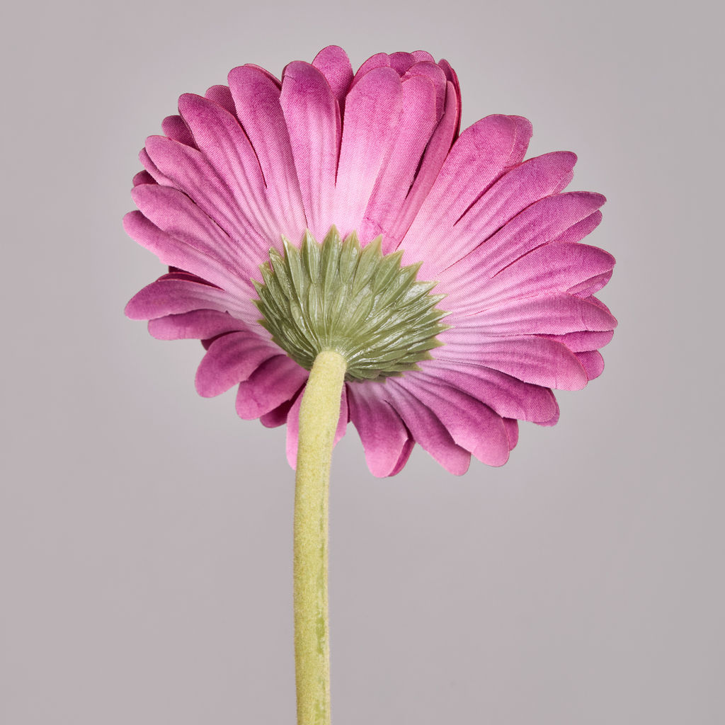 ЦВЕТОК ИСКУССТВЕННЫЙ ГЕРБЕРА ВЫСОТА=61СМ. - Lefard фото 4