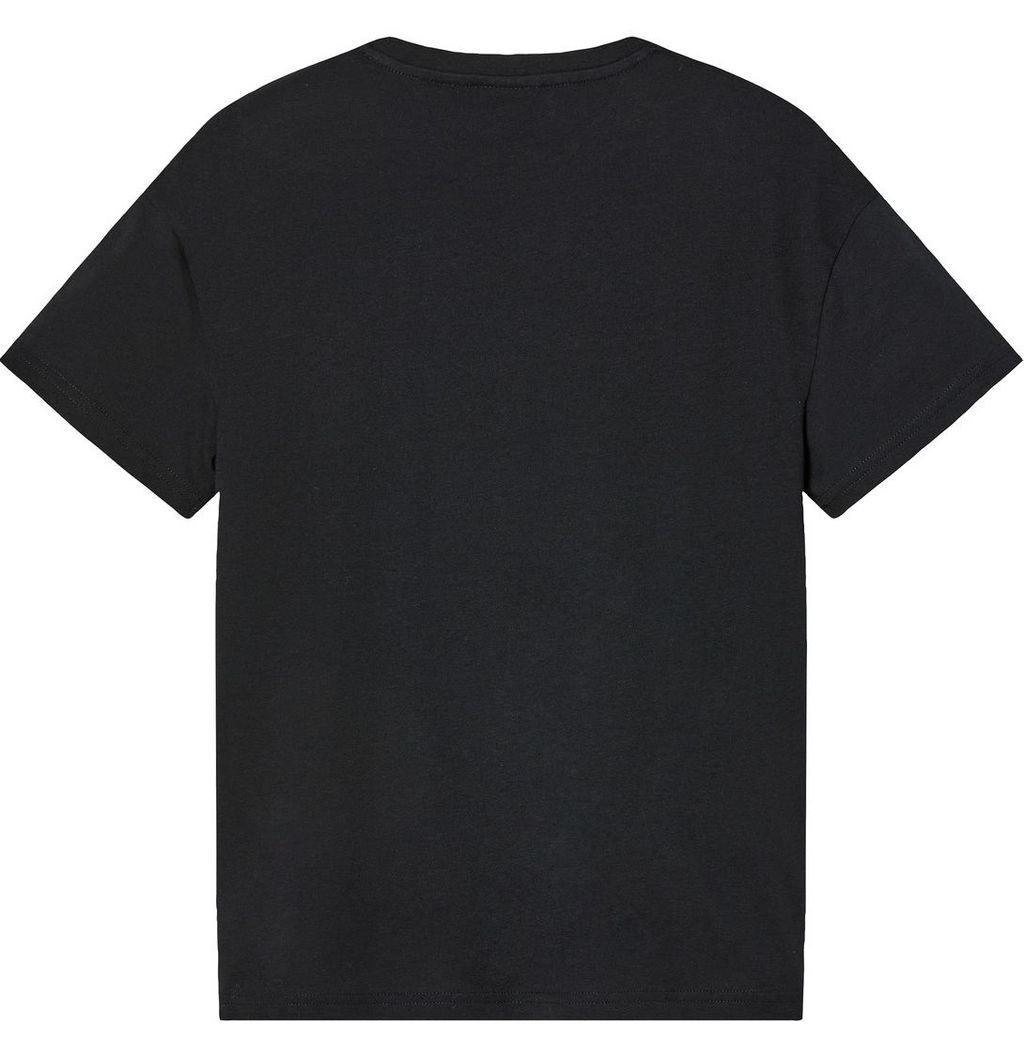 Футболки для мальчиков Мир Юрского периода 2шт