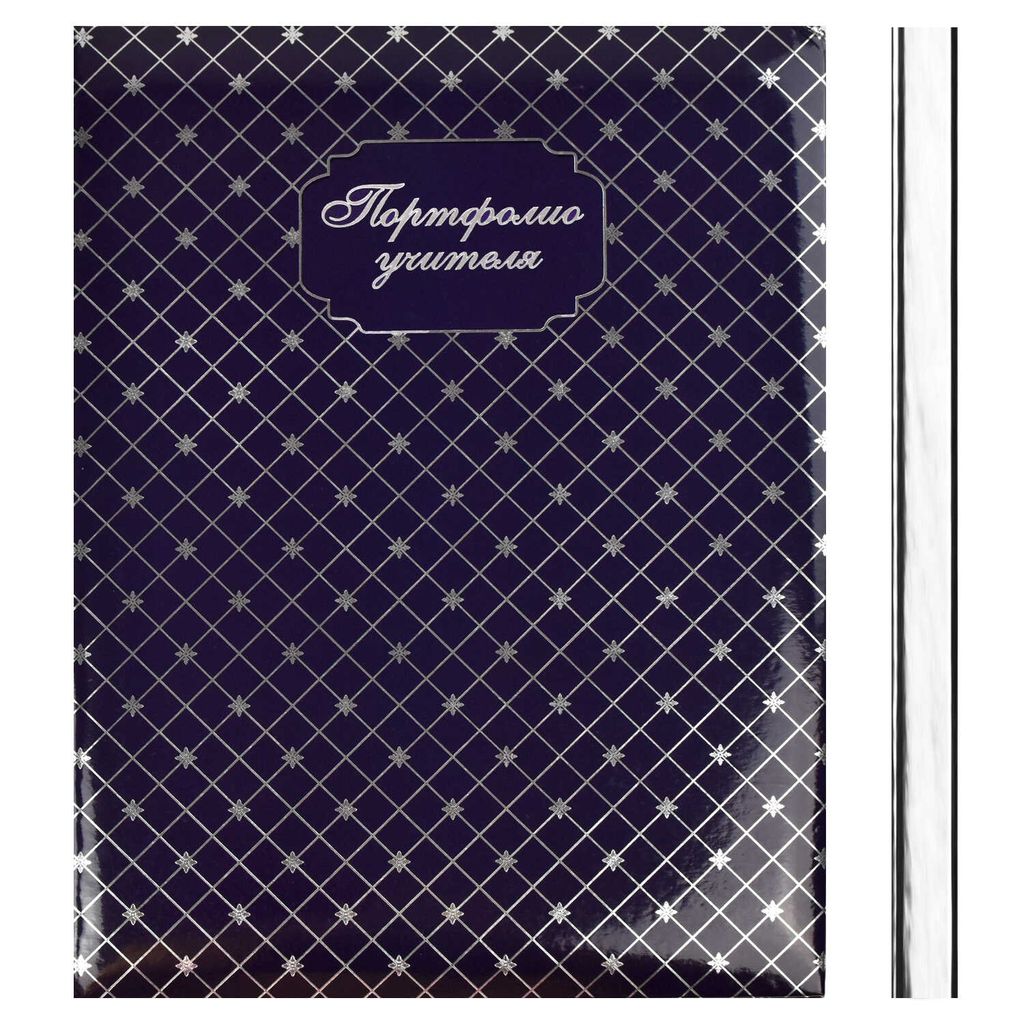 Портфолио учителя арт.38017 ФАКТУРА - Феникс+ фото 3