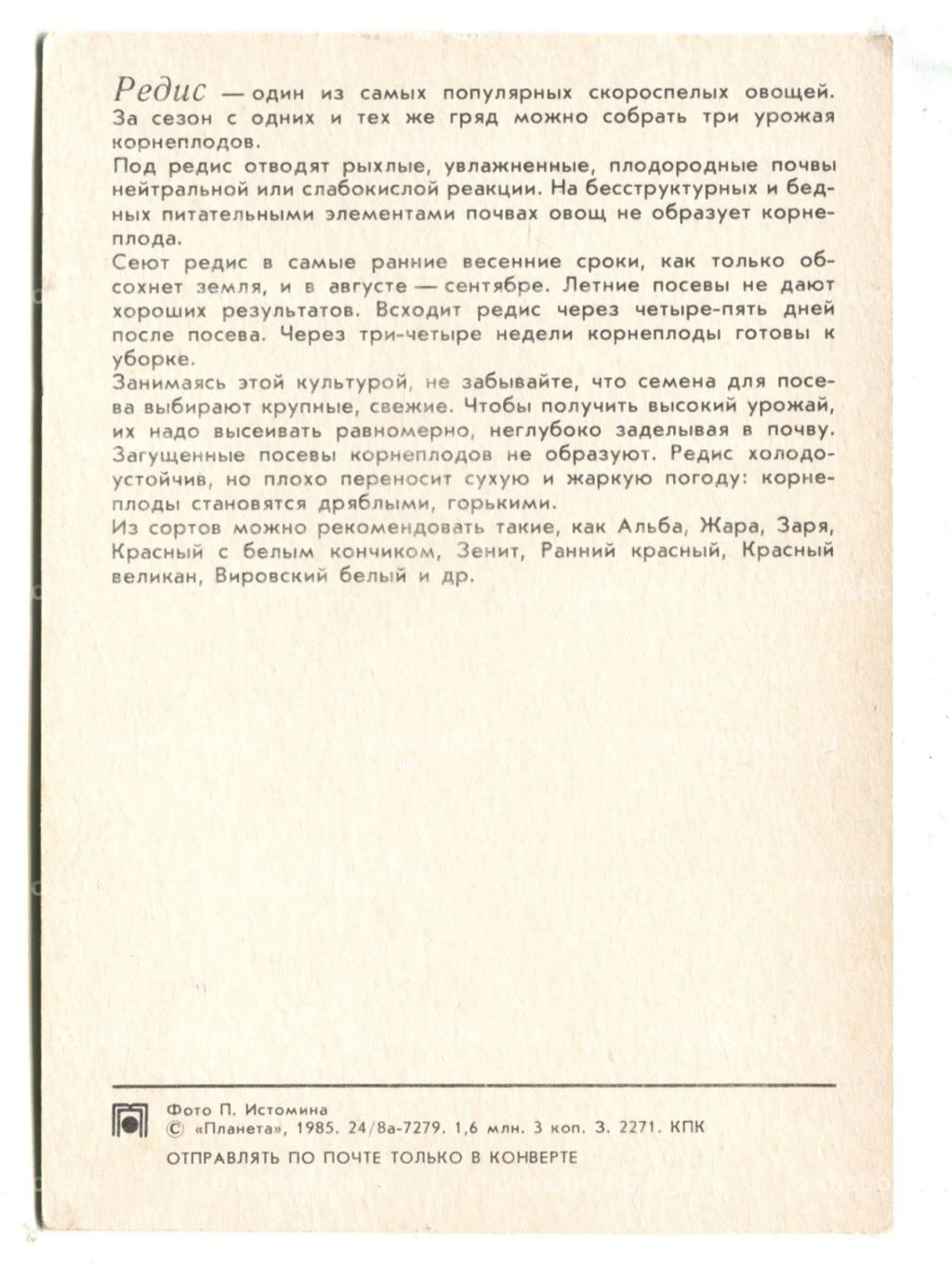 Открытка Редис