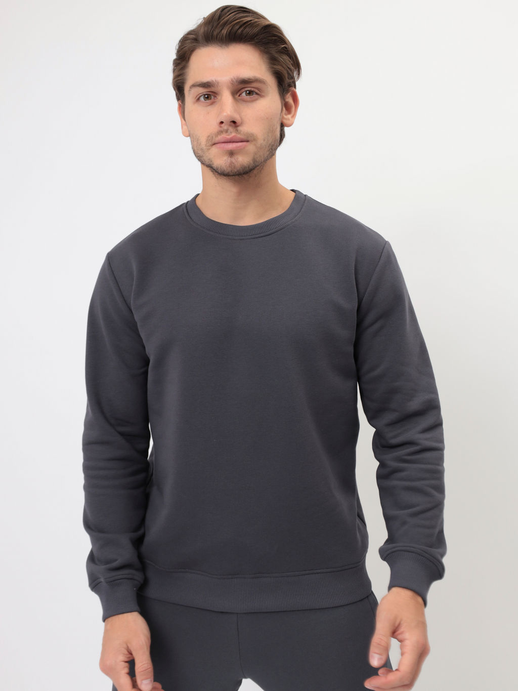 Свитшот мужской GREG G121-OZ03-50 (т.серый)