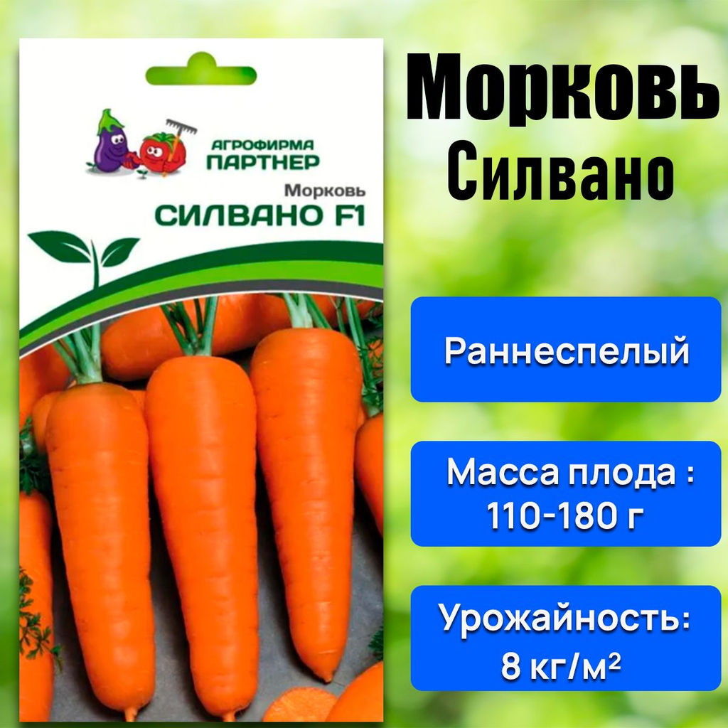 Морковь Силвано