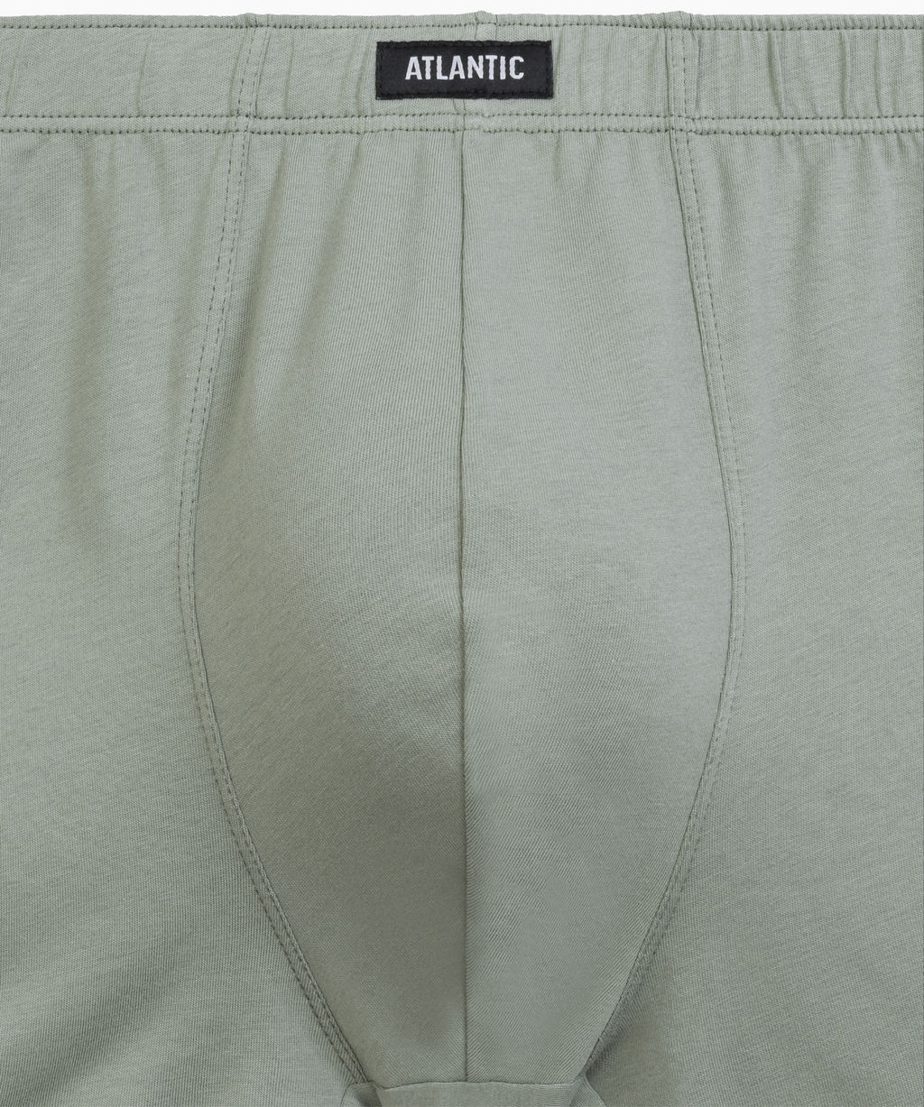 ATLANTIC 2RMH-007 Трусы шорты - набор (2 шт.) светло-зеленый + графитовый  фото 4