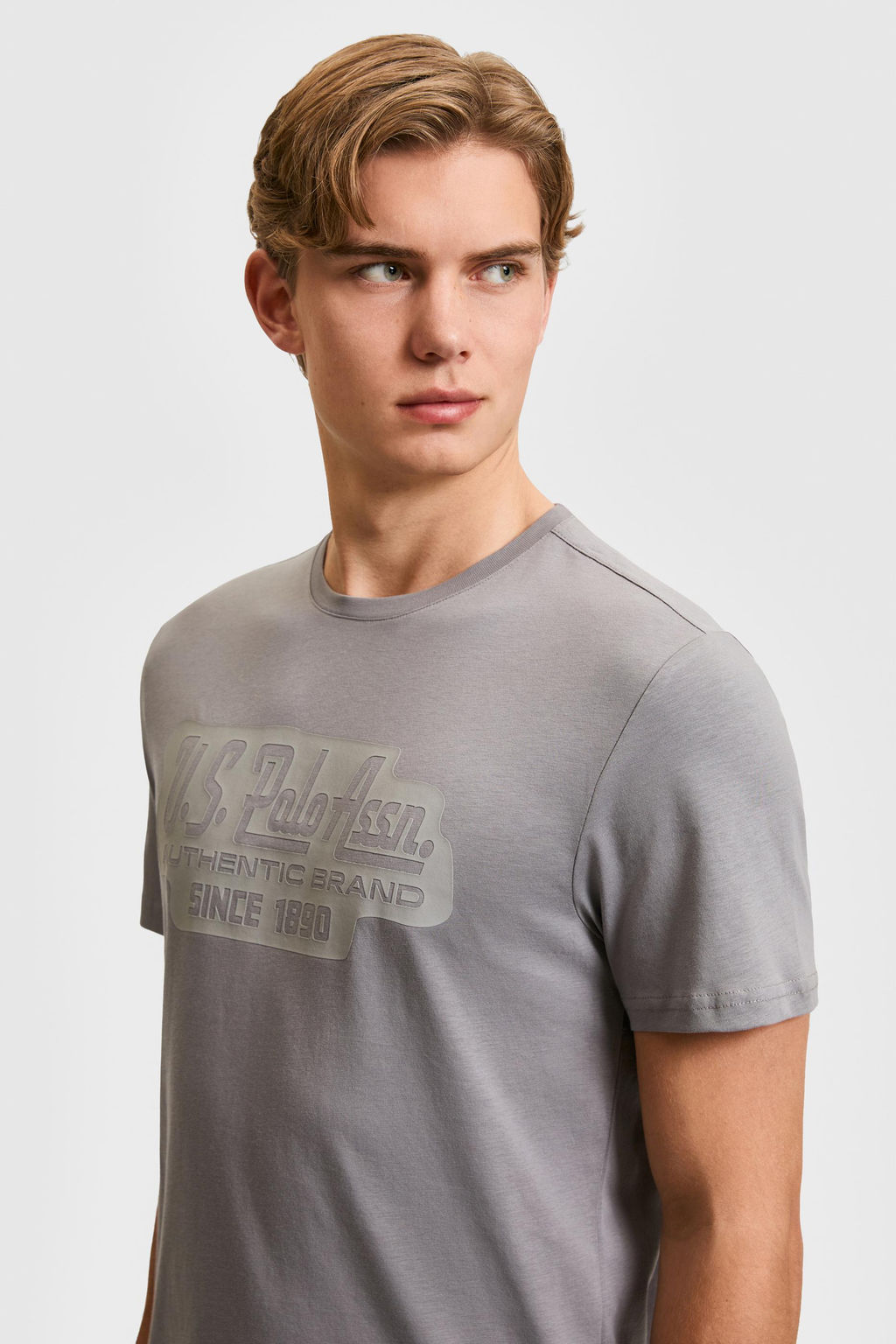 Erkek Regular Fit Bisiklet Yaka Gri Ti__rt