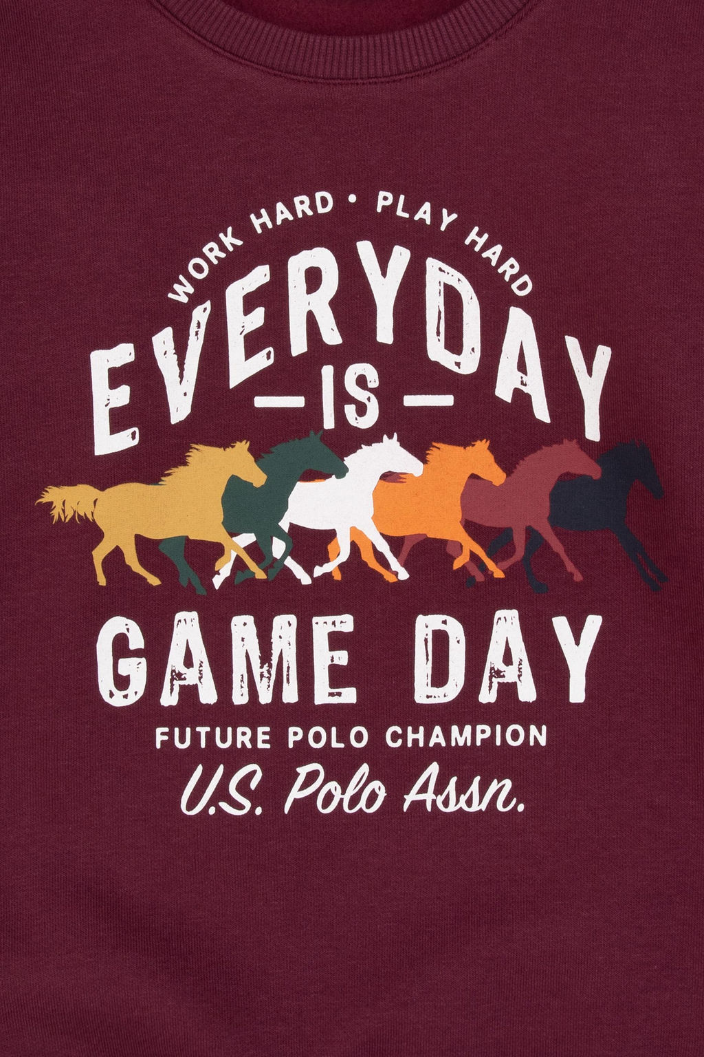 Erkek _ocuk Bordo Bisiklet Yaka Sweatshirt - U.s. polo assn фото 4