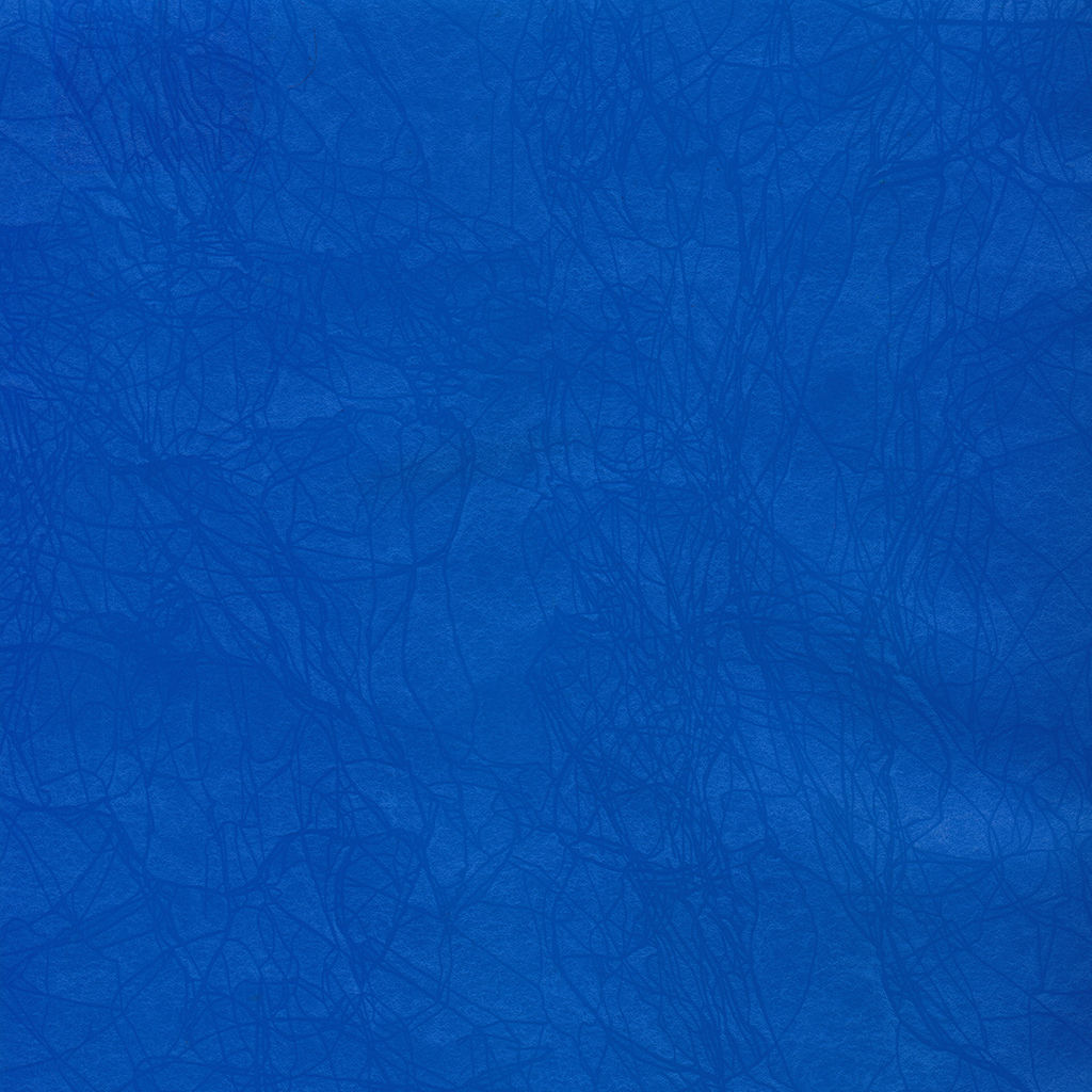 Expert Complete Premier Папка-конверт на ZIP-молнии travel 180 мкм волокно 10 шт. синий ЕС21123002T